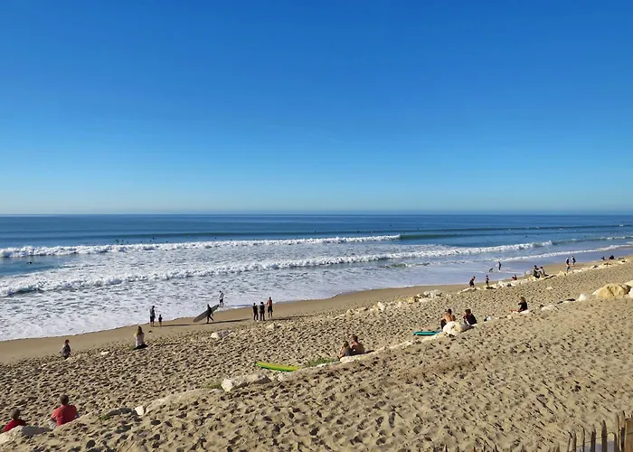 Les Alizes By Interhome